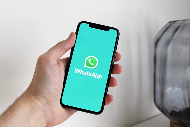 segurando o smartphone tela whatsapp
