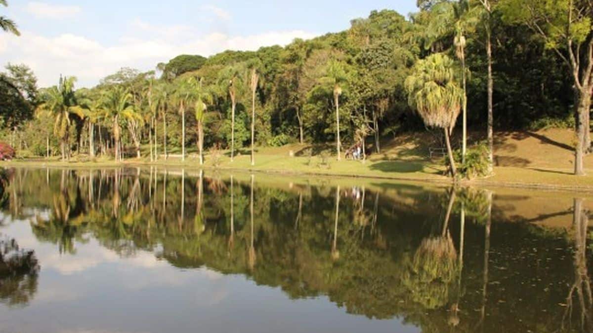 Lago no Jardim Botânico de Juiz de Fora ir em juiz de fora 10 lugares para