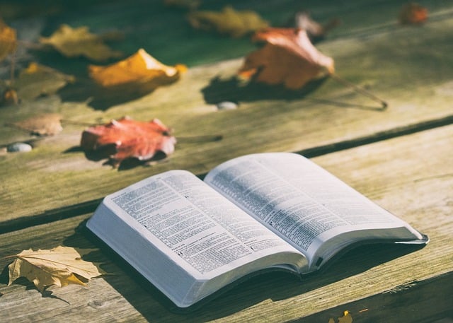 Explorando os Significados Profundos do Provérbios 12:1 – Um Estudo Detalhado